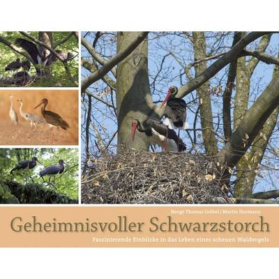 Geheimnisvoller Schwarzstorch, Gebundene Ausgabe von Bengt Thomas Gröbel,Martin Hormann, AULA-Verlag, 978-3-89104-786-6