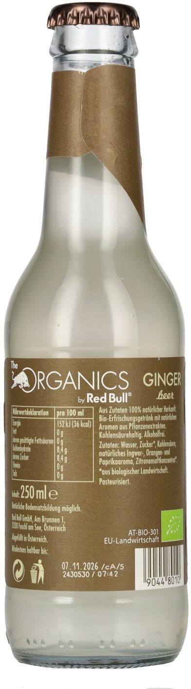 Red Bull Organics by Red Bull GINGER Beer 0,25l