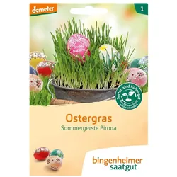 Ostergras - Sommergerste Pirona