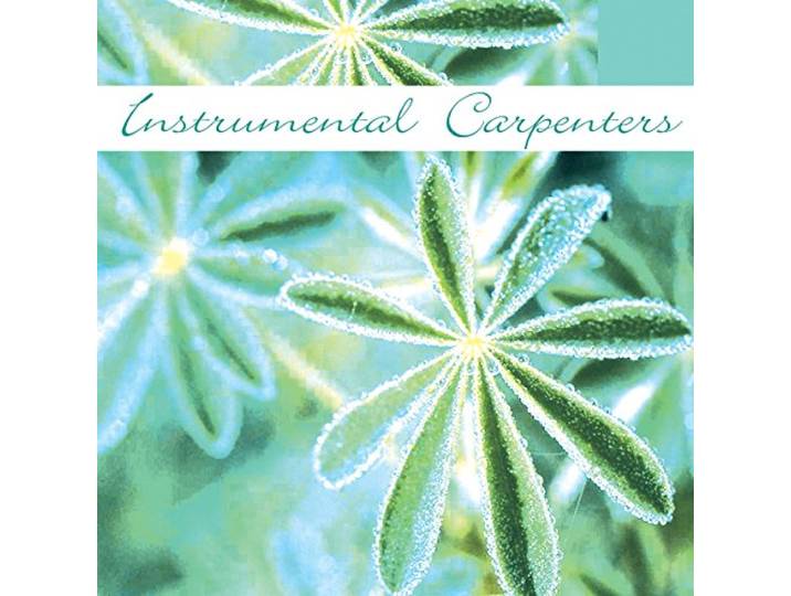 Various - Instrumental Carpenters
