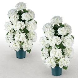 VEVOR 2er-Pack Kunstblumen im Topf 762 mm Hoch Gefälschte Hortensien Weiß, Künstliche Topfblumen für Veranda Terrasse & Zuhause, aus Seidenstoff & PE-Kunststoff, Sofort Einsatzbereite Deko, Pflegefrei