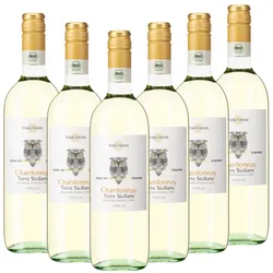 TerrAmore Bio-Chardonnay Terre Siciliane IGT "TerrAmore" Italien  trocken - 6er Karton