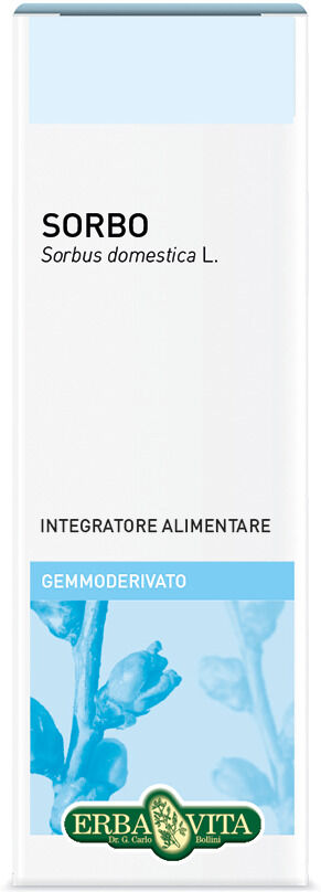 Erba Vita - Gemmoderivato sorbo 50 ml