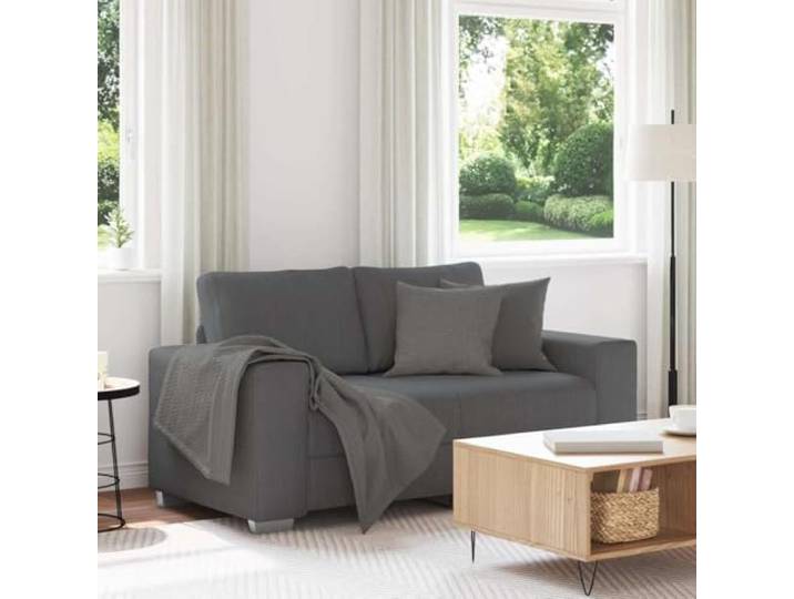 HEFZGDB Zweisitzer-Sofa Dunkelgrau 120 cm Cordstoff Relaxsofa mit Polsterung und Metallgestell für Wohnzimmer Schlafzimmer Arbeitszimmer – Robustes Sitzmöbel mit Strukturierter Optik