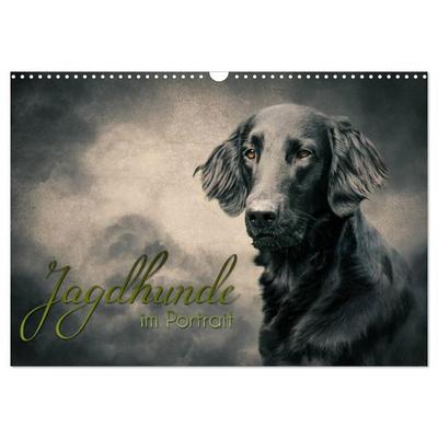 Jagdhunde im Portrait (Wandkalender 2026 DIN A3 quer), CALVENDO Monatskalender