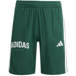 Adidas, Herren, Sporthose, B 3S Sho (M), Weiss, Grün