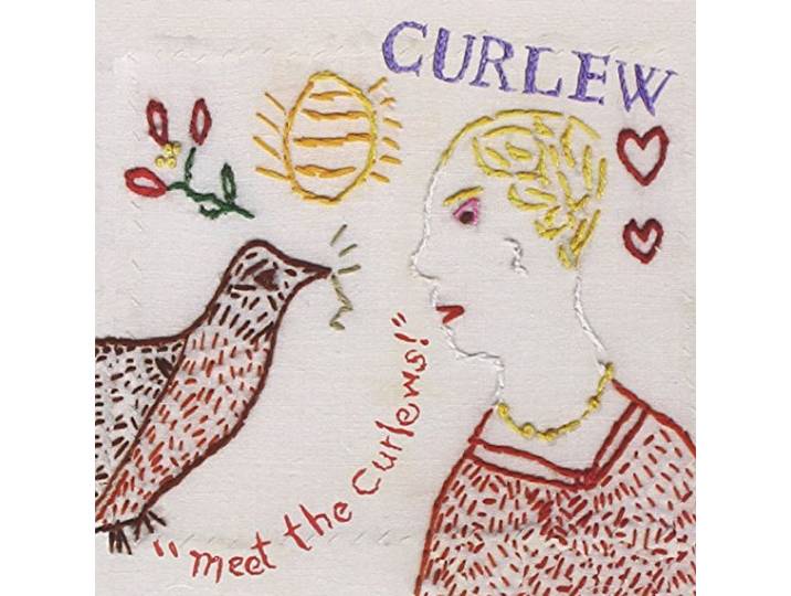 Meet the Curlews