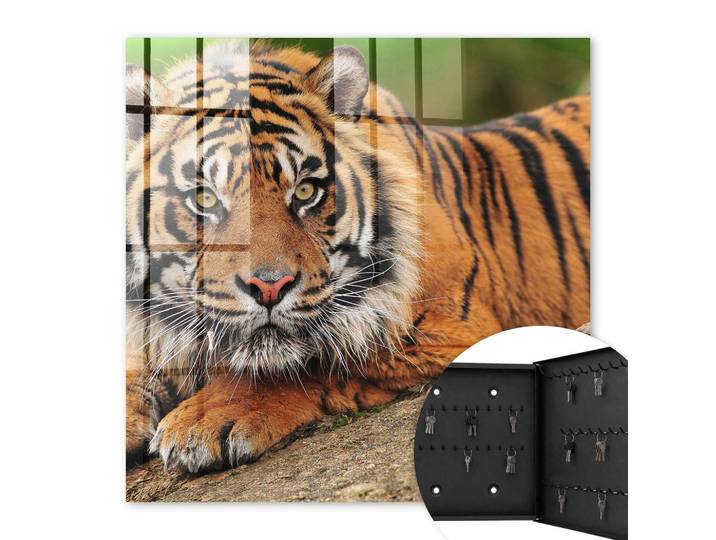 Tulup Schlüsselbox Schwarz 30x30 cm- Türöffnung nach rechts - Tiger ruht, Orange, Metall, Zeichen/Symbole/Nummern/Buchstaben, Rechteckig, 30x30x5 cm, Garderobe, Schlüsselkästen & Schlüsselboards