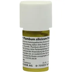 Plumbum Silicicum D 6 Trituration 20 g