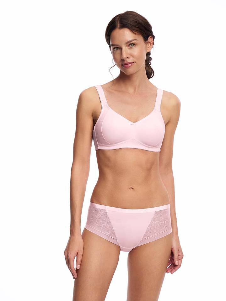 SUSA Minimizer-BH in Rosa - 85F