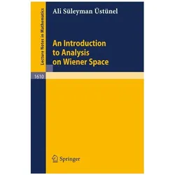 An Introduction to Analysis on Wiener Space, Fachbücher von Ali S. Üstünel