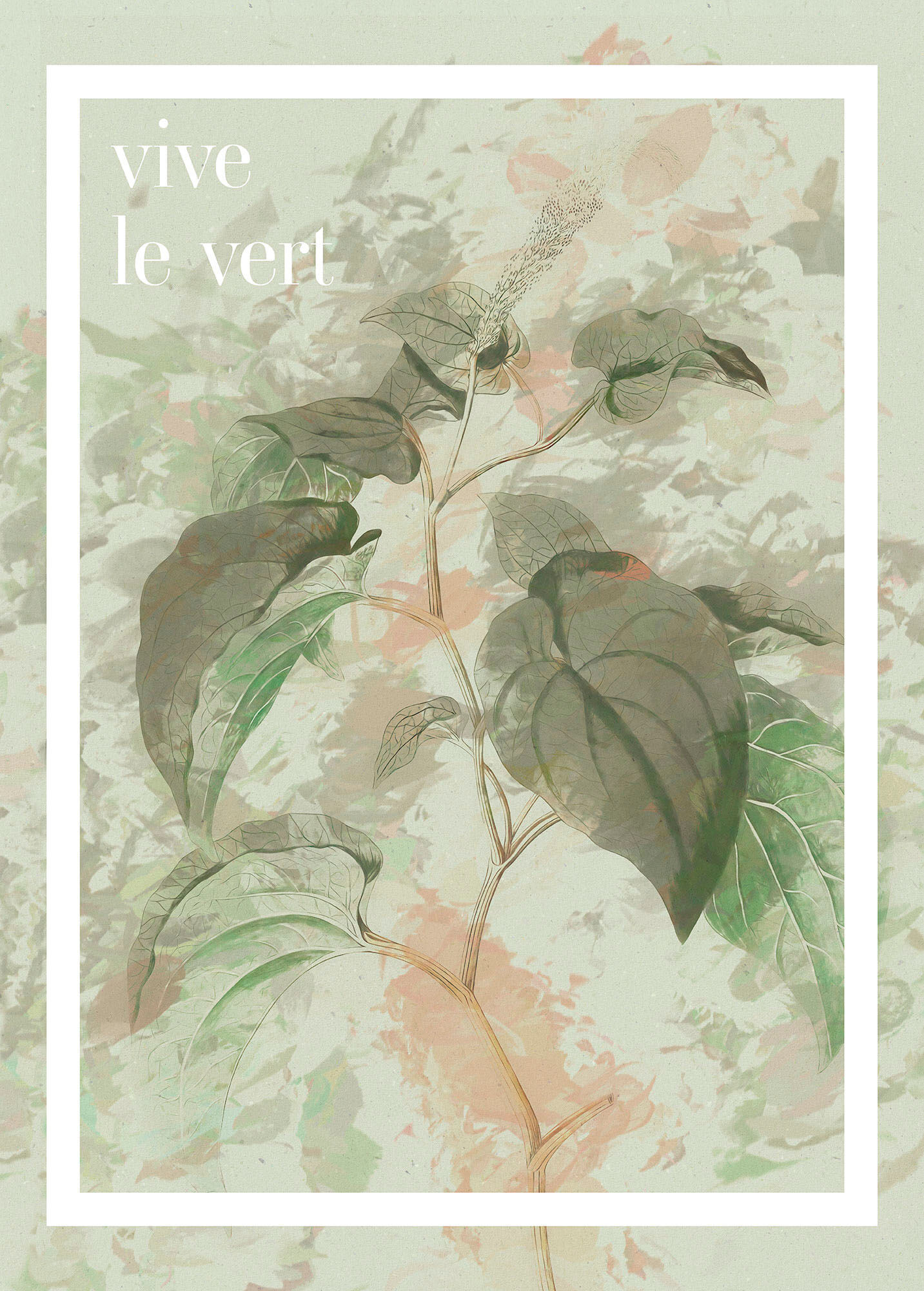 Bild KOMAR "PLANT ART Vive le vert", grün (farbe bild(er): grün), B:50cm H:70cm, Holz, Papier, Bilder, Bild, Wandbild zur Dekoration - ohne Rahmen farbe bild(er): grün B/H/T: 50cm x 70cm, Wandbild Natur, 1 Stk.