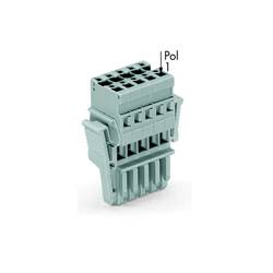WAGO 769-102/021-000 Federleiste Grau 50 St.