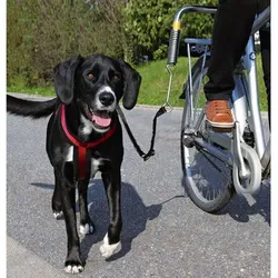 TRIXIE-Fahrradset