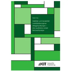 Stabilität und Variabilität mobilitätsbezogener Alltagshandlungen - eine qualitative soziale Netzwer, Fachbücher von Maike Puhe