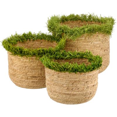 Dekokorb CREATIV HOME "Korb", grün, B:24cm H:20cm T:24cm, Maisgeflecht, Aufbewahrungsboxen, mit Farbakzent