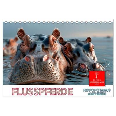 Flusspferde - Hippopotamus amphibius (Tischkalender 2026 DIN A5 quer), CALVENDO Monatskalender