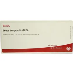 Lobus Temporalis Gl D 6 10 ML