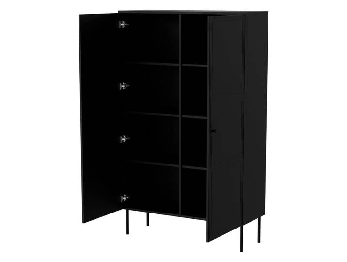 Armoire multiusage 2 portes bois noir 100x39x166h cm
