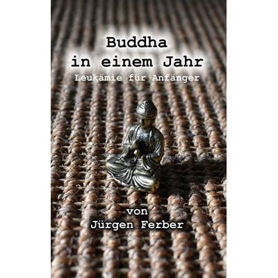 Buddha in einem Jahr, Taschenbuch von Jürgen Ferber, BoD – Books on Demand, 978-3-8192-9588-1