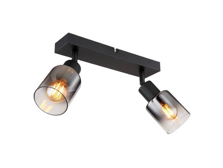Globo Deckenleuchte Hubertus 2-flammig 54308-2