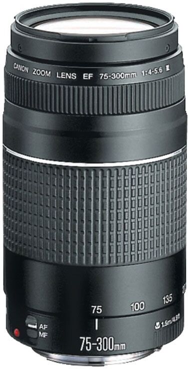 OBJETIVA CANON EF 75-300III