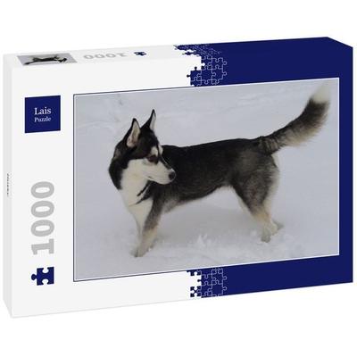 Lais Puzzle Husky 1000 Teile