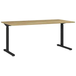 SCHREIBTISCH GW-PROFI 2.0