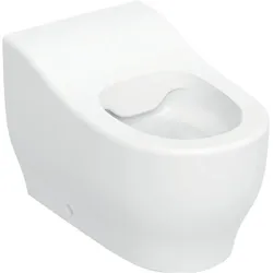 Geberit, Toilette + Bidet, Bambini Stand WC für Kleinkinder, Tiefspüler, Rimfree, Höhe:24cm