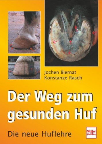Jochen Biernat - Der Weg zum gesunden Huf: Die neue Huflehre - Preis vom 11.10.2026 15:43:13 h