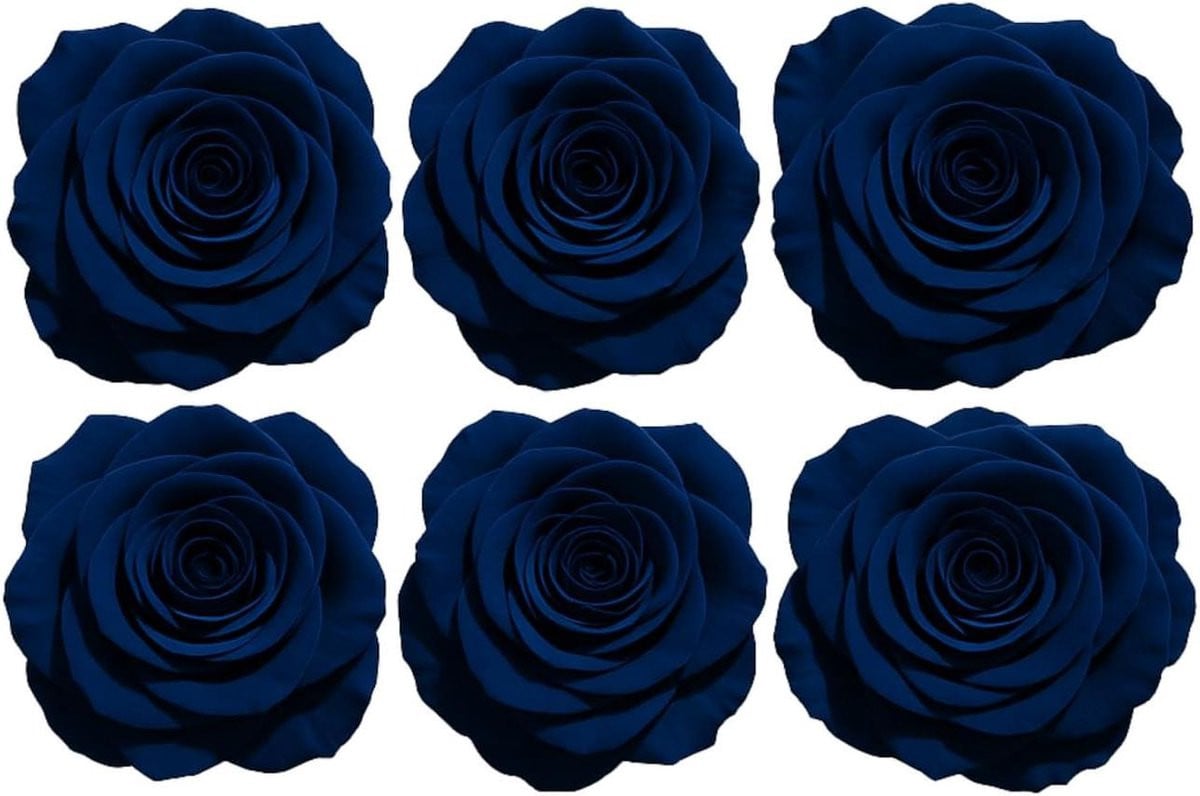 Eeuwige Rozen Doos met 6 Geconserveerde Rozen - Saffier Blauw
