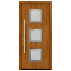 Hörmann Ecostar Haustür "ISOPRO Secur IPS 810S",golden oak,110 x 210 cm (B x H)