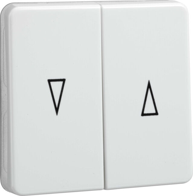 Elso Interrupteur bascule rw pour commande volet roulant 233804 (233804)