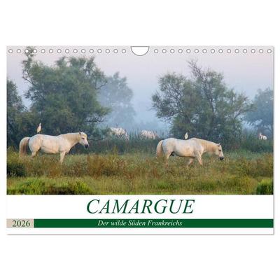Camargue - Der wilde Süden Frankreichs (Wandkalender 2026 DIN A4 quer), CALVENDO Monatskalender