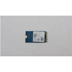 Lenovo SSD M.2 PCIe NVMe FRU SSD (256 GB, M.2 2242), SSD