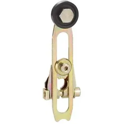 Telemechanique Sensors Schwenkhebel ZC2JY31