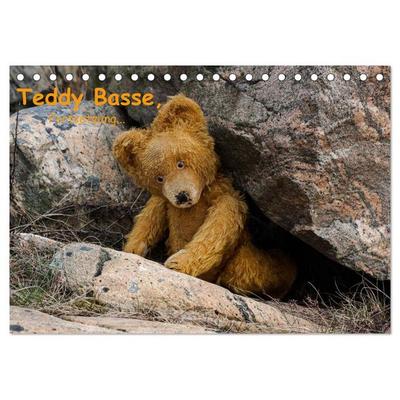 Teddy Basse, Fortsetzung... (Tischkalender 2026 DIN A5 quer), CALVENDO Monatskalender