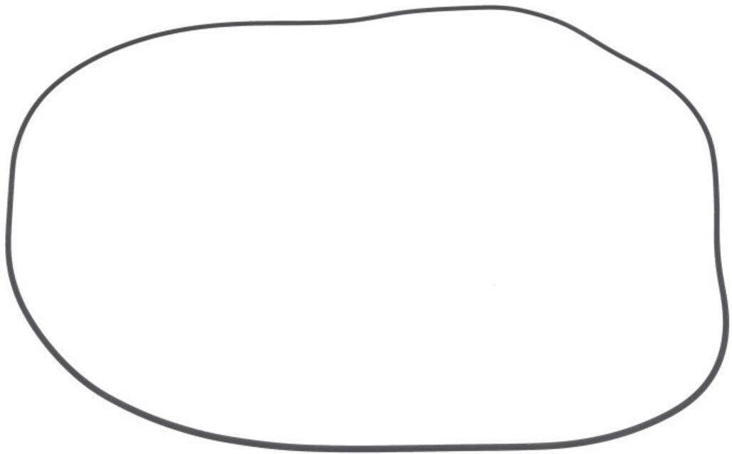 Dichtung, Automatikgetriebe ZF 0634313146