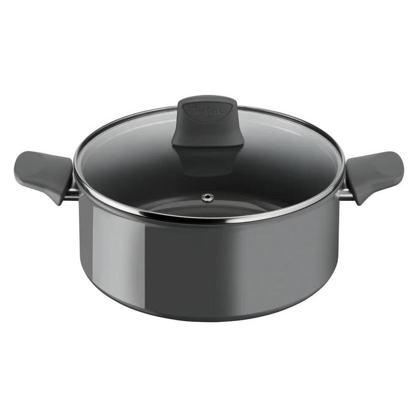 Tefal Erneuerungstopf mit Deckel 24 cm (C4264673) (C4264673)