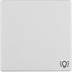 Berker 16206049 Wippe mit Aufdr Symbol Licht Q.x pw