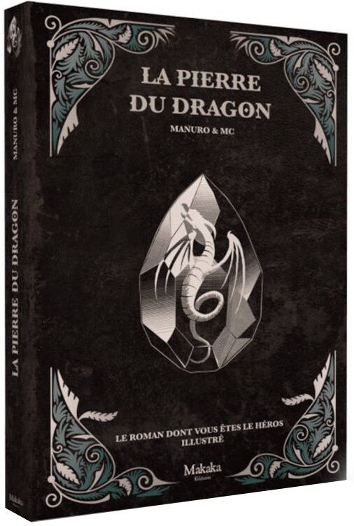 Makaka Editions La Pierre du Dragon : Roman illustré dont vous êtes le héros