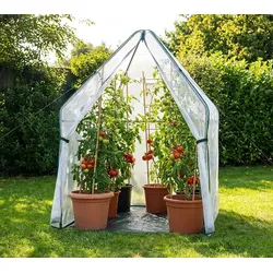 Westmann Überwinterungszelt & Foliengewächshaus Chili | Weiß | 120x120x180 cm | Komplettset - Weiß