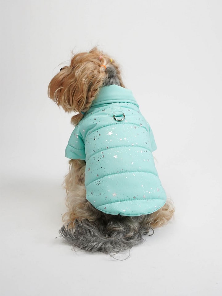 Paws&Whiskers Hundehoodie in Türkis - L