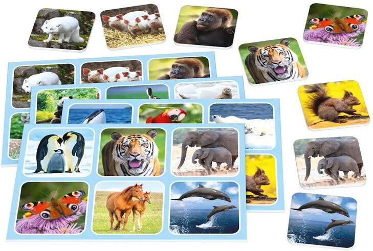 Zoo Lotto - Schmidt