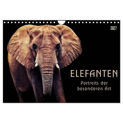 Elefanten - Portraits der besonderen Art (Wandkalender 2027 DIN A4 quer), CALVENDO Monatskalender