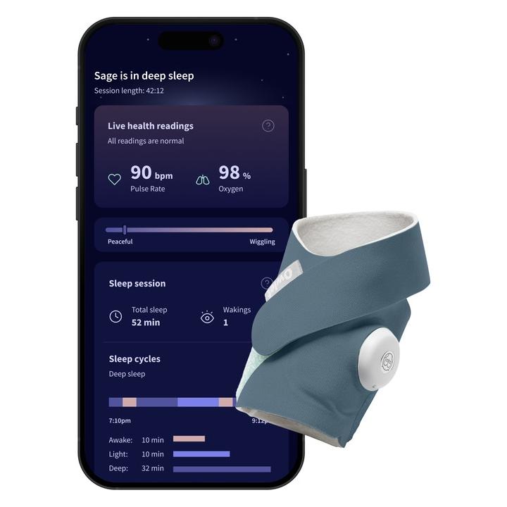 Owlet Dream Sock (Babyphone Audio, 9 m) (BMRHNN67IM)