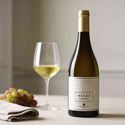 Terrescure 2025 Terrescure Silei Bianco Toscana 2025 Chardonnay,Vermentino  Italien