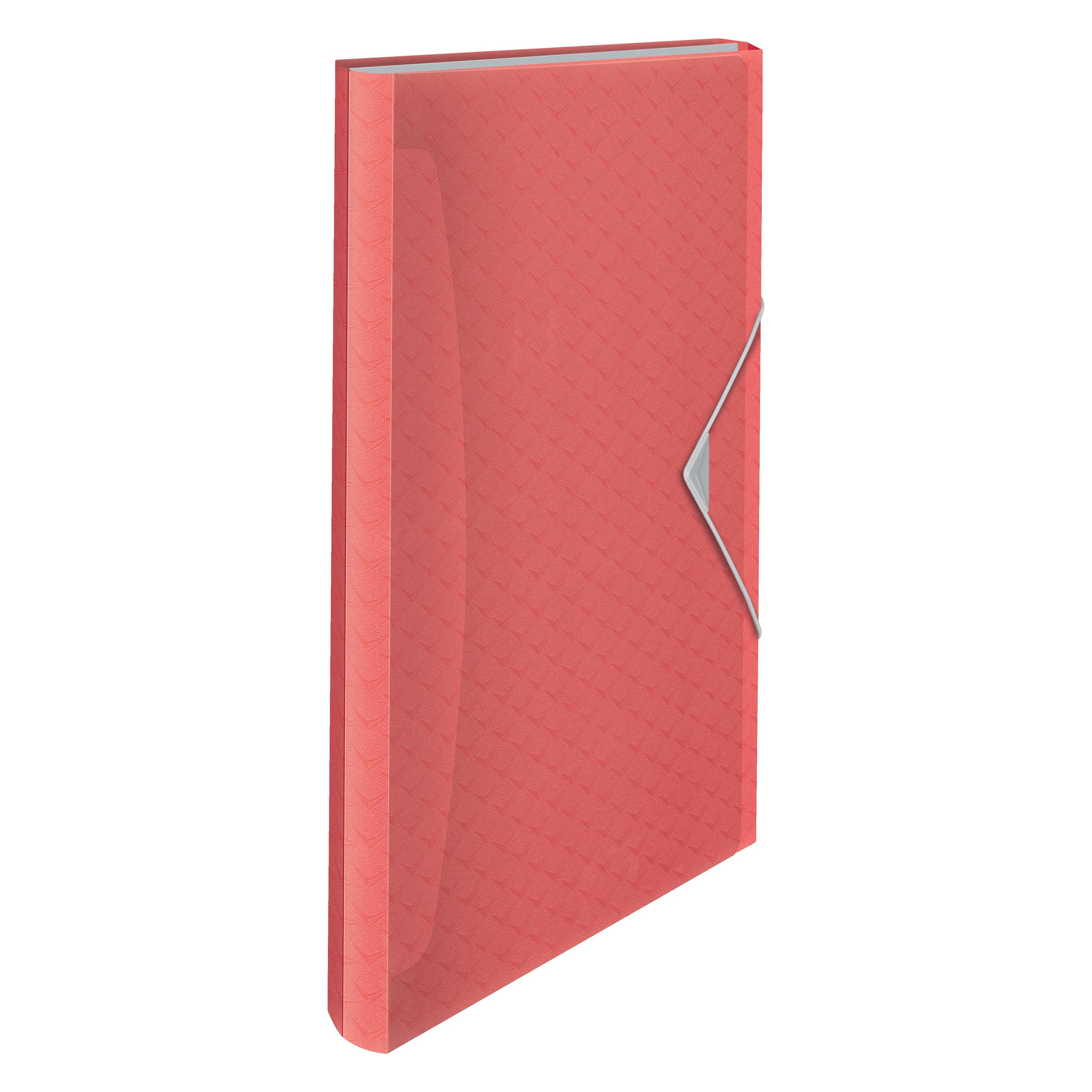 Esselte Fächermappe Colour'Breeze (A4) (628447)