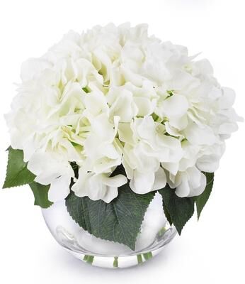 Enova Home Artificial Cream Silk Hydrangea Fake Flowers Arrangement in Clear Glass Vase with Faux Water for Home Decoration