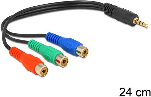 Delock Cinch / Klinke Video Anschlusskabel [3x Cinch-Buchse - 1x Klinkenstecker 3.5 mm] 0.24m Schwarz